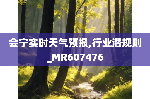 会宁实时天气预报,行业潜规则_MR607476