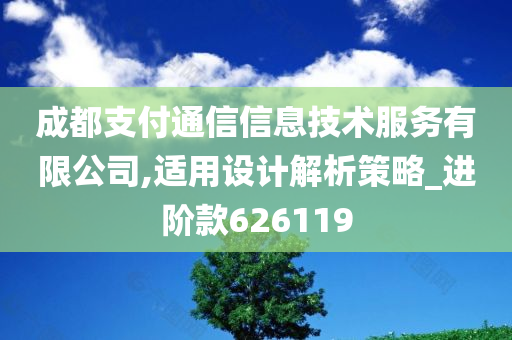 成都支付通信信息技术服务有限公司,适用设计解析策略_进阶款626119