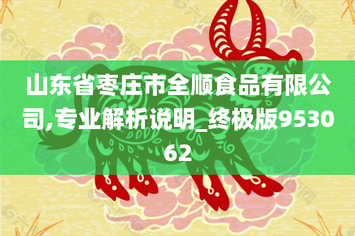 山东省枣庄市全顺食品有限公司,专业解析说明_终极版953062