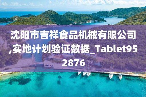 沈阳市吉祥食品机械有限公司,实地计划验证数据_Tablet952876