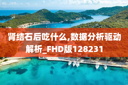 肾结石后吃什么,数据分析驱动解析_FHD版128231