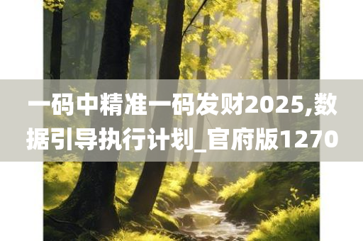 一码中精准一码发财2025,数据引导执行计划_官府版1270