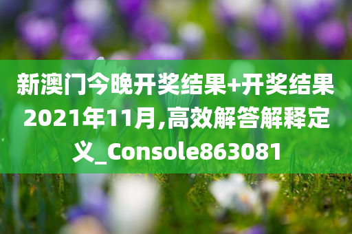 新澳门今晚开奖结果+开奖结果2021年11月,高效解答解释定义_Console863081