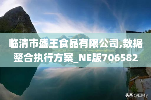 临清市盛王食品有限公司,数据整合执行方案_NE版706582