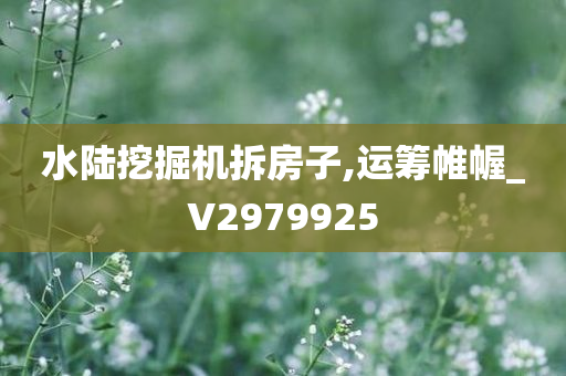 水陆挖掘机拆房子,运筹帷幄_V2979925