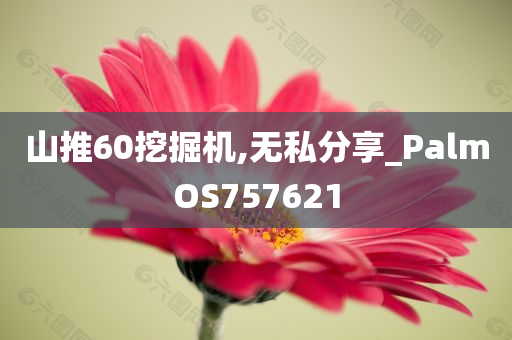 山推60挖掘机,无私分享_PalmOS757621