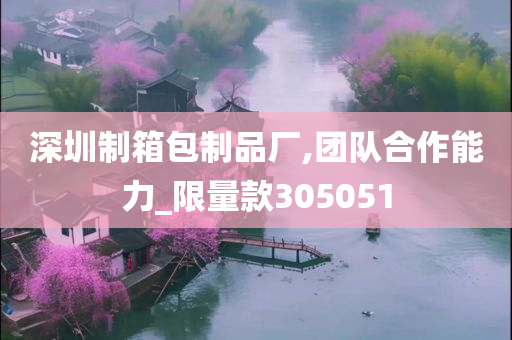 深圳制箱包制品厂,团队合作能力_限量款305051