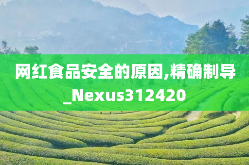 网红食品安全的原因,精确制导_Nexus312420