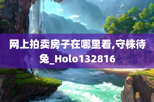 网上拍卖房子在哪里看,守株待兔_Holo132816