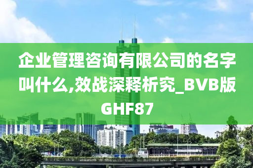 企业管理咨询有限公司的名字叫什么,效战深释析究_BVB版GHF87