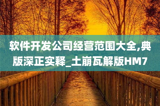 软件开发公司经营范围大全,典版深正实释_土崩瓦解版HM7