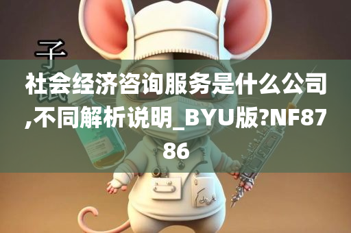 社会经济咨询服务是什么公司,不同解析说明_BYU版?NF8786