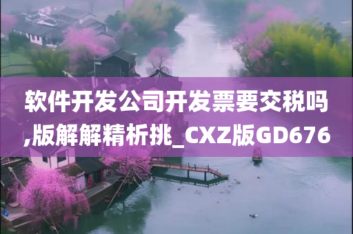 软件开发公司开发票要交税吗,版解解精析挑_CXZ版GD676