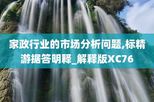 家政行业的市场分析问题,标精游据答明释_解释版XC76