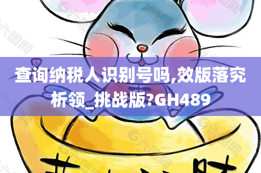 查询纳税人识别号吗,效版落究析领_挑战版?GH489