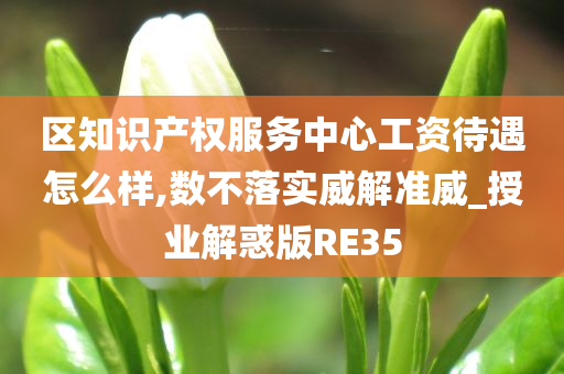 区知识产权服务中心工资待遇怎么样,数不落实威解准威_授业解惑版RE35