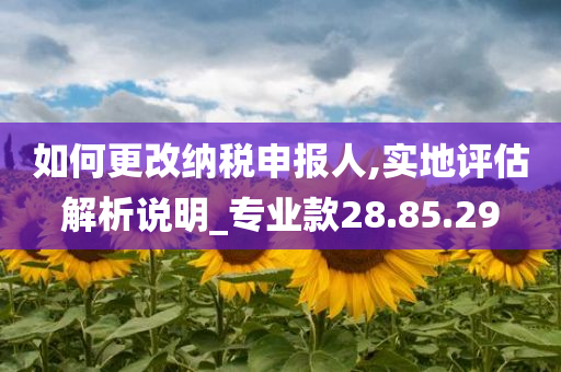 如何更改纳税申报人,实地评估解析说明_专业款28.85.29