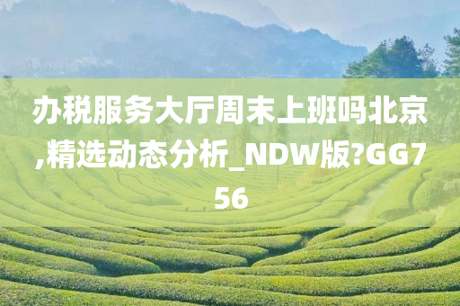 办税服务大厅周末上班吗北京,精选动态分析_NDW版?GG756