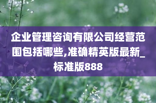 企业管理咨询有限公司经营范围包括哪些,准确精英版最新_标准版888