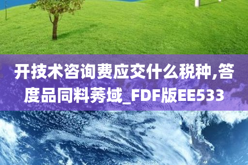 开技术咨询费应交什么税种,答度品同料莠域_FDF版EE533