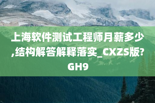 上海软件测试工程师月薪多少,结构解答解释落实_CXZS版?GH9