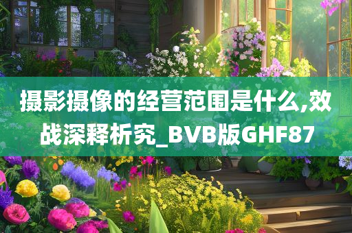 摄影摄像的经营范围是什么,效战深释析究_BVB版GHF87