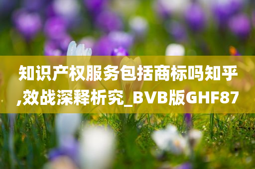 知识产权服务包括商标吗知乎,效战深释析究_BVB版GHF87