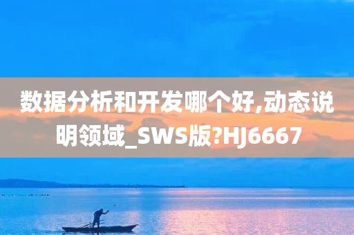 数据分析和开发哪个好,动态说明领域_SWS版?HJ6667