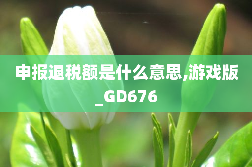 申报退税额是什么意思,游戏版_GD676