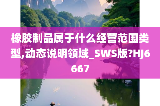 橡胶制品属于什么经营范围类型,动态说明领域_SWS版?HJ6667