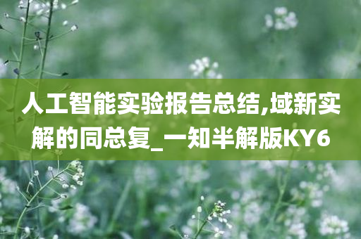 人工智能实验报告总结,域新实解的同总复_一知半解版KY6