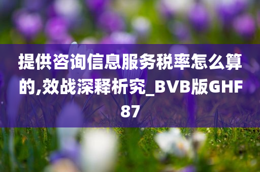 提供咨询信息服务税率怎么算的,效战深释析究_BVB版GHF87