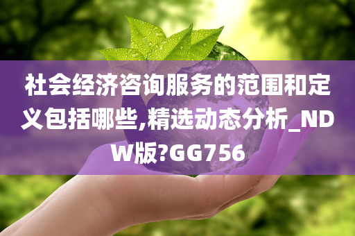 社会经济咨询服务的范围和定义包括哪些,精选动态分析_NDW版?GG756