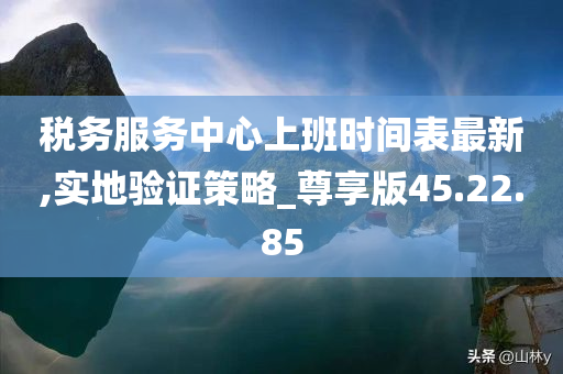 税务服务中心上班时间表最新,实地验证策略_尊享版45.22.85