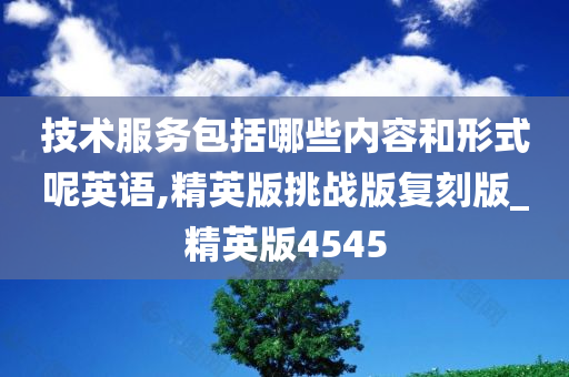 技术服务包括哪些内容和形式呢英语,精英版挑战版复刻版_精英版4545