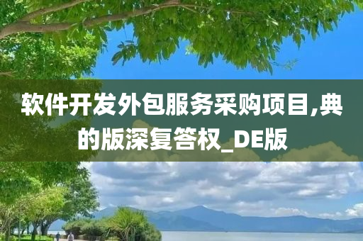 软件开发外包服务采购项目,典的版深复答权_DE版