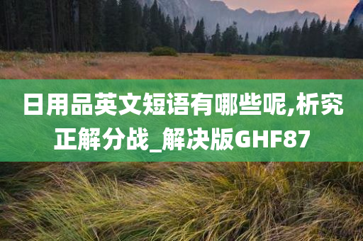 日用品英文短语有哪些呢,析究正解分战_解决版GHF87