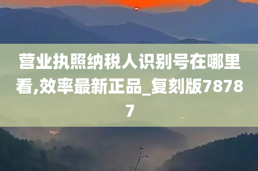 营业执照纳税人识别号在哪里看,效率最新正品_复刻版78787