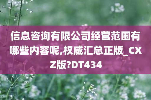 信息咨询有限公司经营范围有哪些内容呢,权威汇总正版_CXZ版?DT434