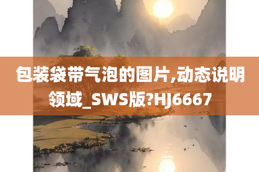 包装袋带气泡的图片,动态说明领域_SWS版?HJ6667