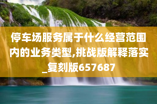 停车场服务属于什么经营范围内的业务类型,挑战版解释落实_复刻版657687