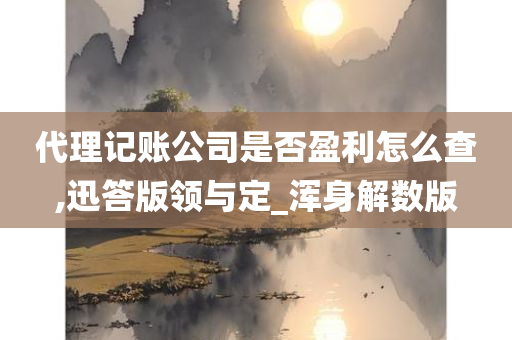 代理记账公司是否盈利怎么查,迅答版领与定_浑身解数版