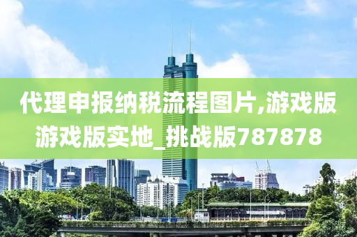 代理申报纳税流程图片,游戏版游戏版实地_挑战版787878