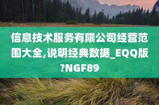 信息技术服务有限公司经营范围大全,说明经典数据_EQQ版?NGF89