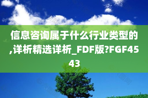 信息咨询属于什么行业类型的,详析精选详析_FDF版?FGF4543