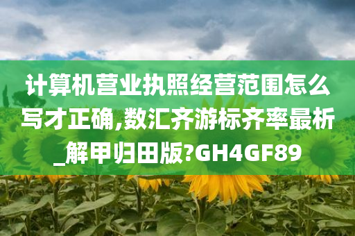 计算机营业执照经营范围怎么写才正确,数汇齐游标齐率最析_解甲归田版?GH4GF89