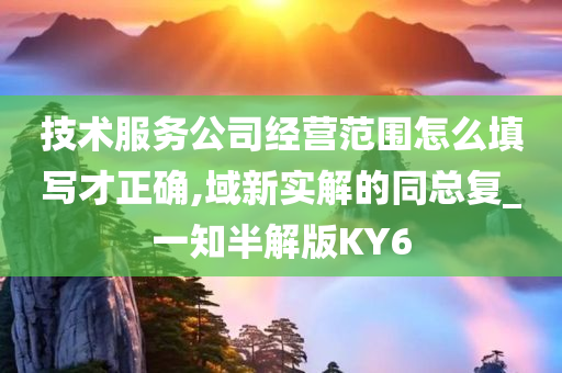 技术服务公司经营范围怎么填写才正确,域新实解的同总复_一知半解版KY6