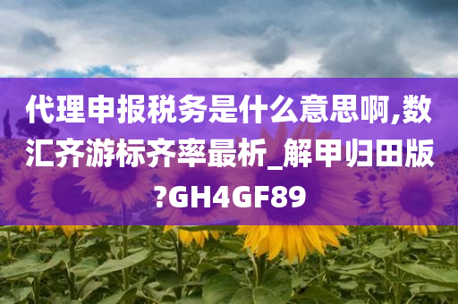 代理申报税务是什么意思啊,数汇齐游标齐率最析_解甲归田版?GH4GF89