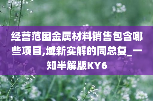 经营范围金属材料销售包含哪些项目,域新实解的同总复_一知半解版KY6