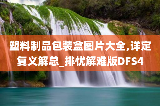 塑料制品包装盒图片大全,详定复义解总_排忧解难版DFS4